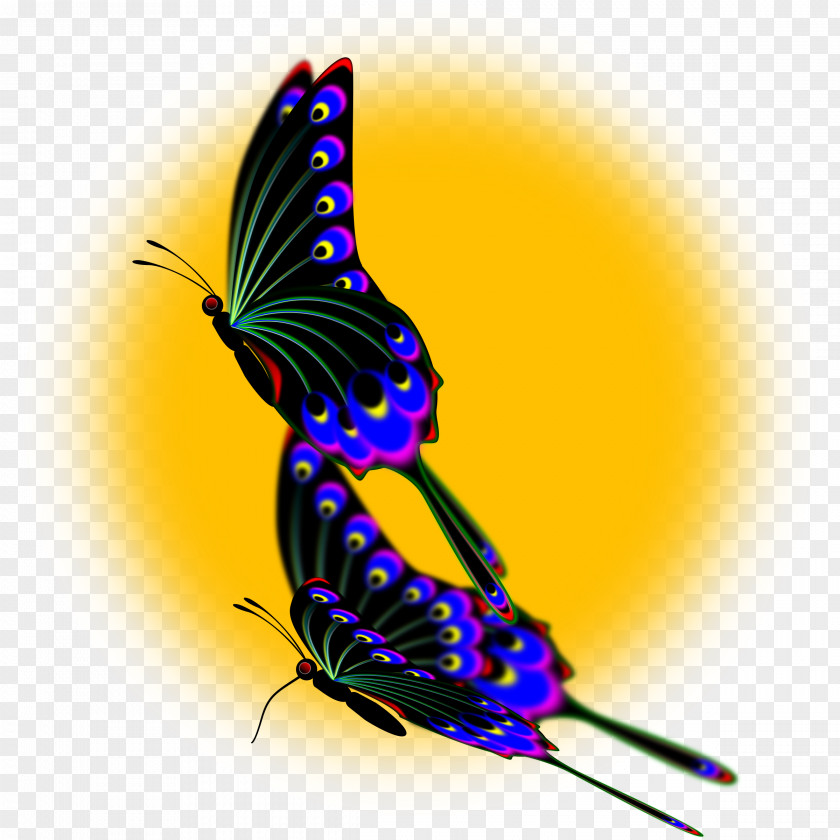 Peacock Butterfly Insect Windows Metafile Clip Art PNG