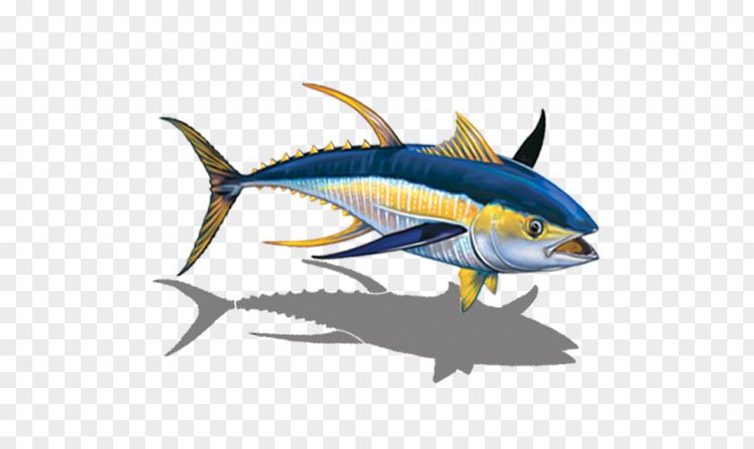 Scombridae Rayfinned Fish Swimming Cartoon PNG