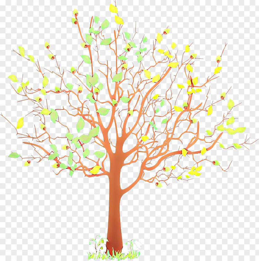 Tree Branch Plant Woody Leaf PNG