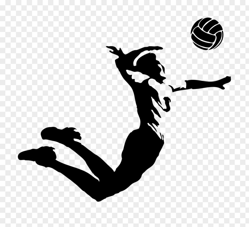 Volleyball VC Zenit-Kazan Belogorie Sport PNG