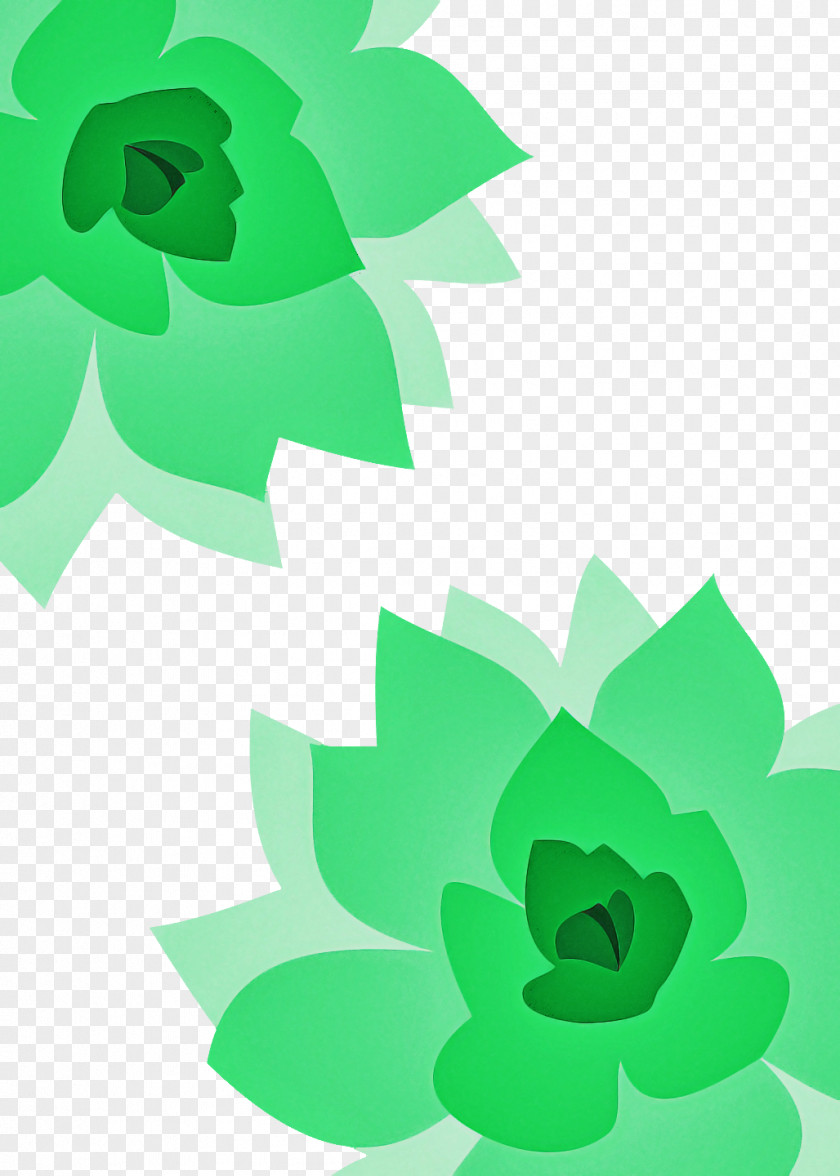 Floral Design PNG