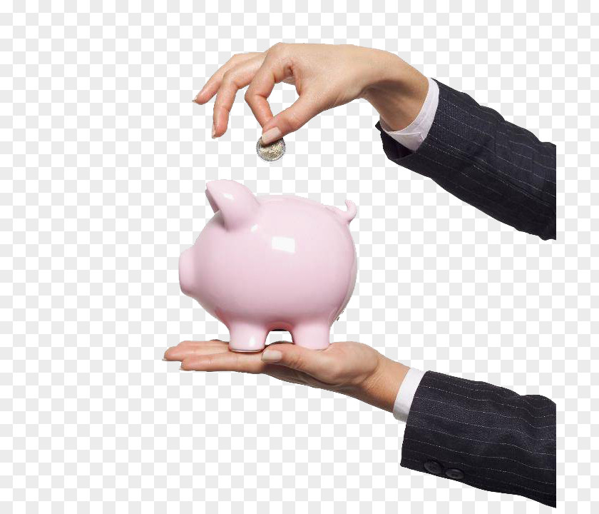 Hand With Piggy Bank Download PNG