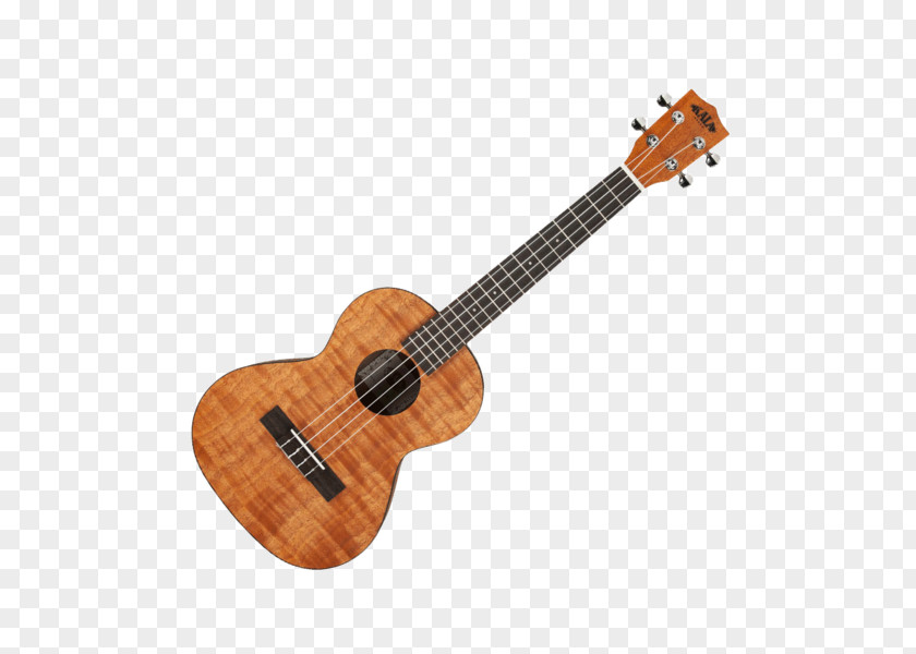 Musical Instruments Steel-string Acoustic Guitar Takamine Guitars Acoustic-electric PNG