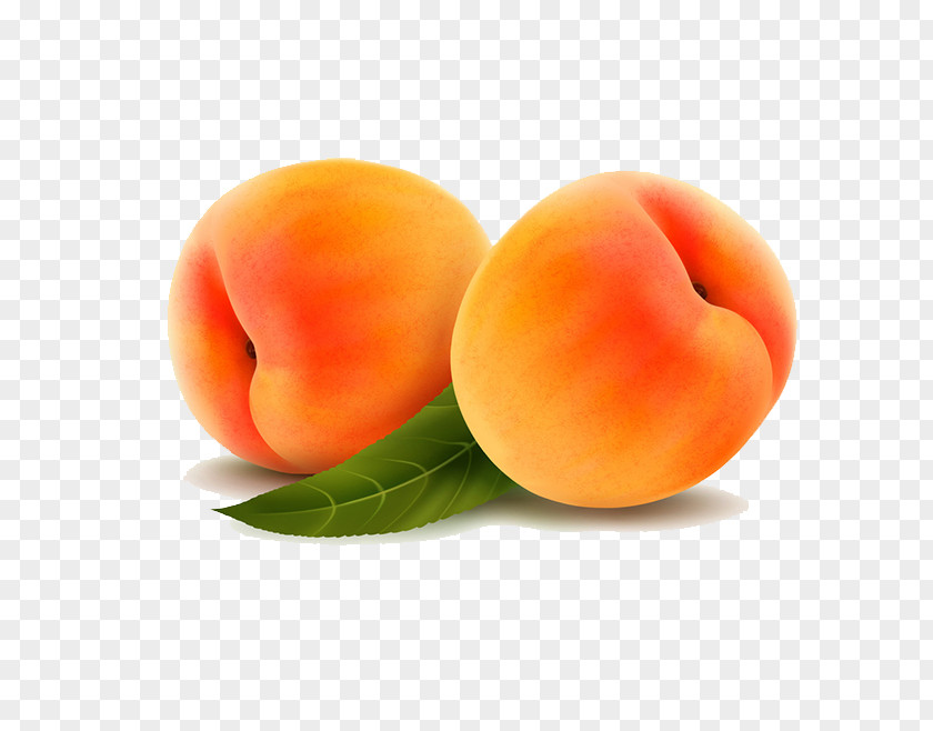 Peach Fruit Apple PNG