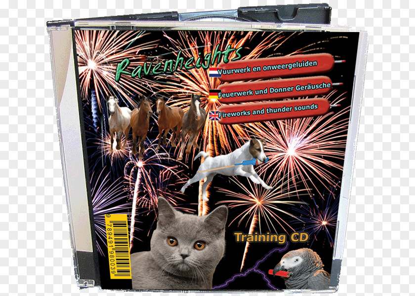 A Firecracker Dog Puppy Whiskers Fireworks Compact Disc PNG