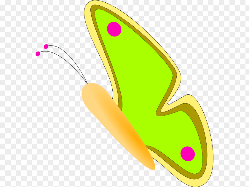 Green Butterfly Clipart Clip Art PNG