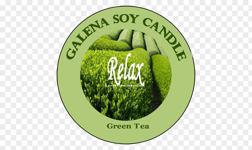 Green Tea Candle Logo PNG
