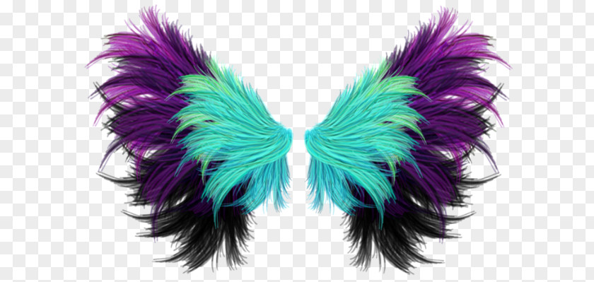 Picsart All Photography Image Adobe Photoshop Wing PNG