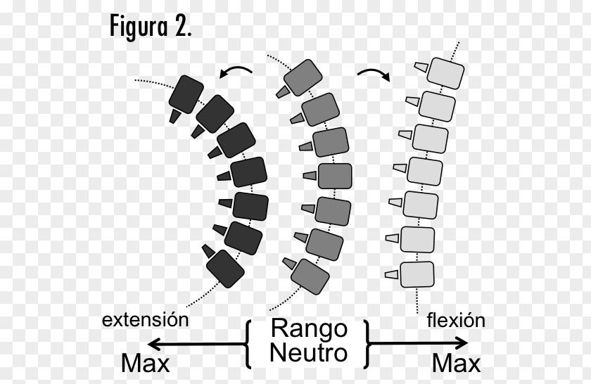 Columna Vertebral Car Drawing Technology Font PNG