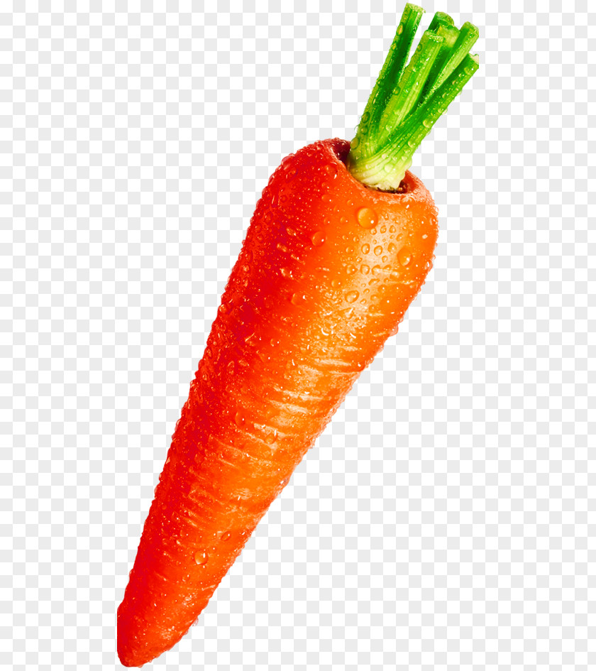 Free Creative Pull Drops Carrot Baby Gravy Vegetable Water PNG