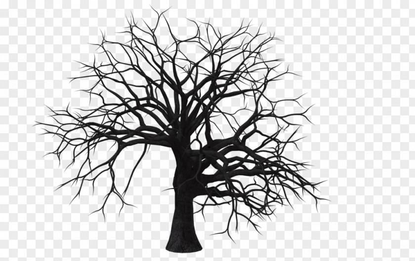 Free Tree Pictures Branch Clip Art PNG