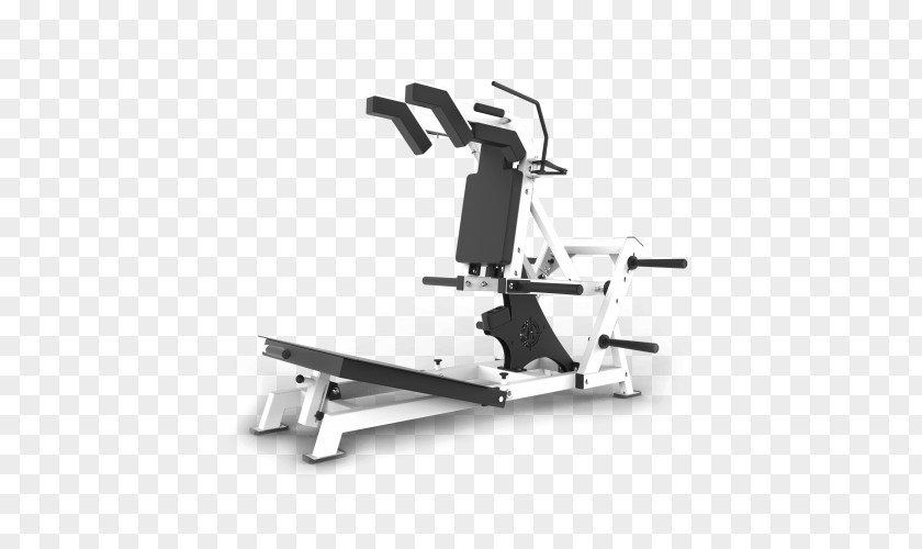 Gym Squats Fitness Centre Squat Exercise Equipment Power Rack PNG