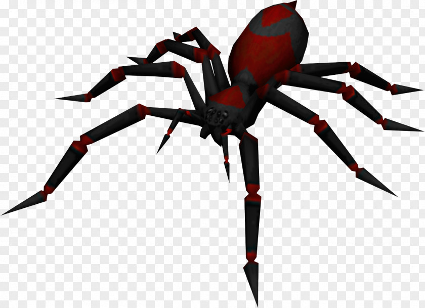 Roach RuneScape Spider Is It Poisonous? Scorpion PNG
