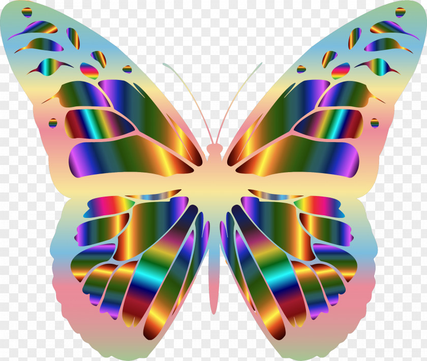 Butterfly Clip Art PNG