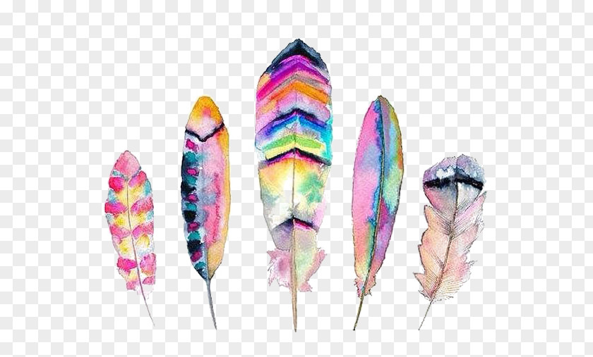 Color Feather Decoration Watercolor Painting Printmaking PNG