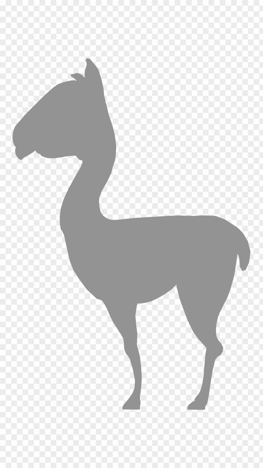 Horse Canidae Camel Dog Pack Animal PNG
