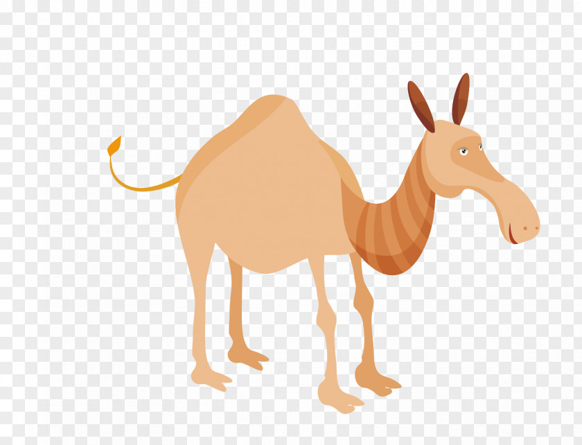 Vector Animal Camel Figure Royalty-free Drawing Illustration PNG