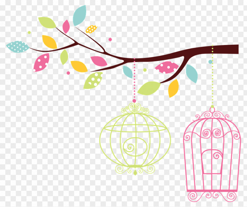 Bird Cage Teacher Clip Art PNG