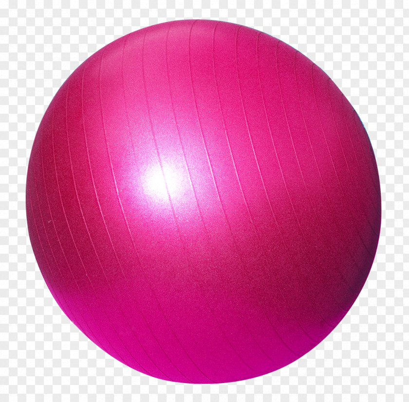 Fitness Ball Bodybuilding Sphere Centre PNG
