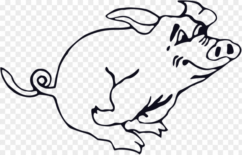 Free Pictures Of Pigs Large White Pig Clip Art PNG