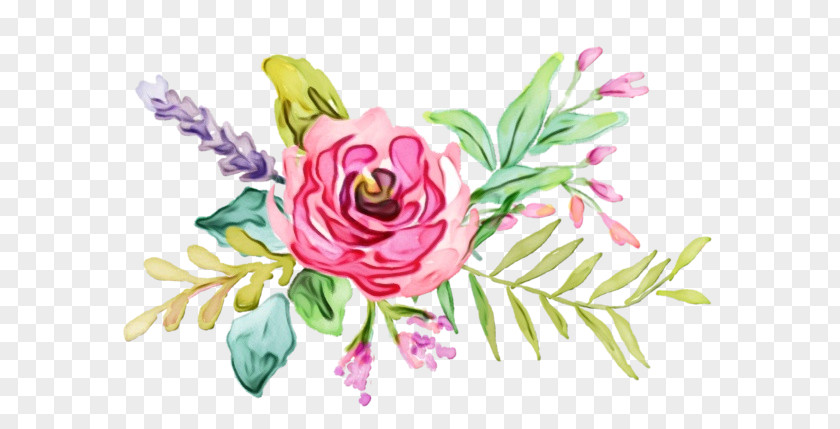 Garden Roses Floral Design Flower Art Illustration PNG