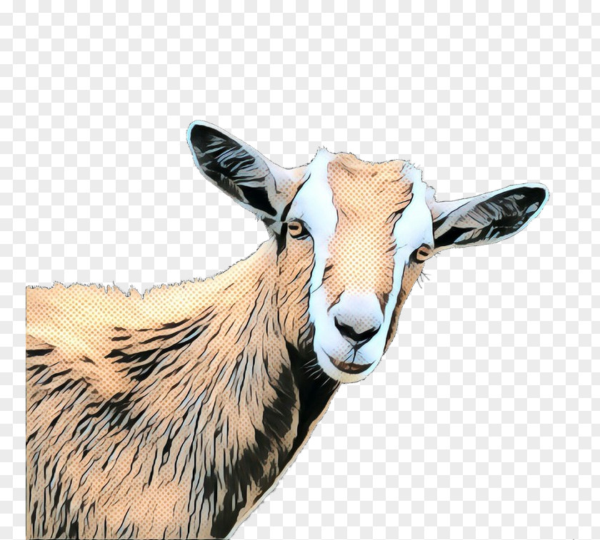 Goat Cattle Fauna Snout PNG