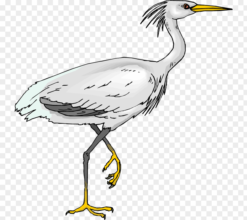 Heron Clipart Green Bird Egret Clip Art PNG