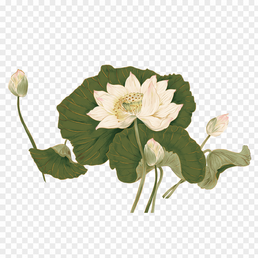 Ink Painting Lotus Creative Nelumbo Nucifera Poster PNG