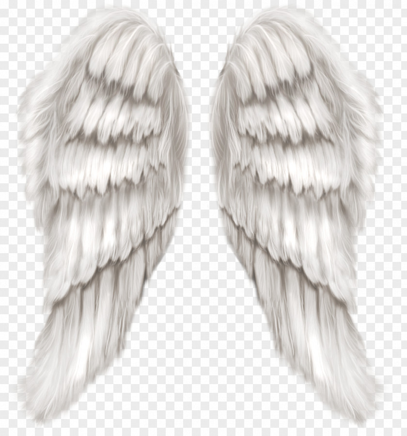 White Angel Wings Transparent Clip Art Image Cherub Wing PNG