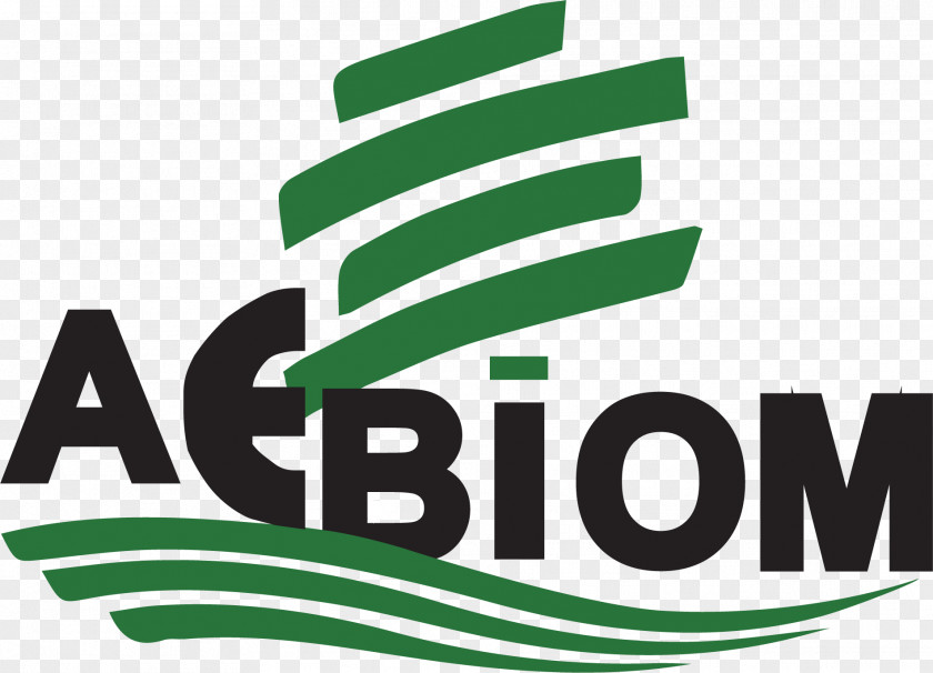 Barosaurus Illustration Logo Product Brand Font Green PNG