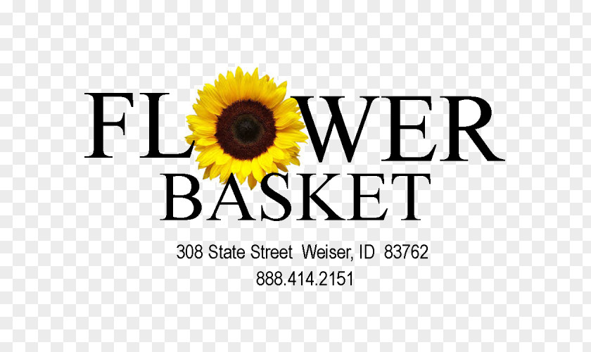 Basket Flower The Floristry Sister Family PNG
