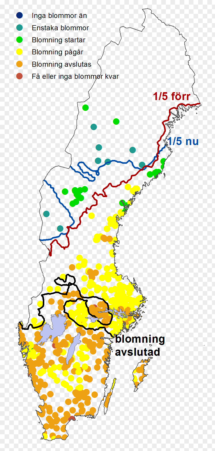 Bjork Sweden Spring Götaland Analysis Swedish Language PNG