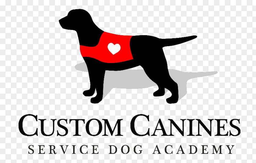 Puppy Labrador Retriever Dog Breed Golden Custom Canines Service Academy PNG