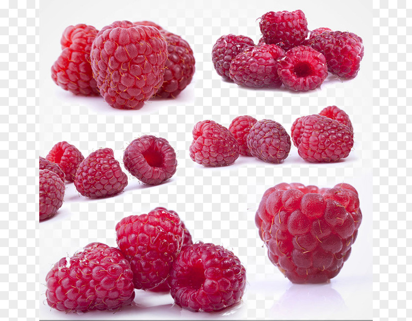 Raspberry Red Frutti Di Bosco Fruit Boysenberry PNG