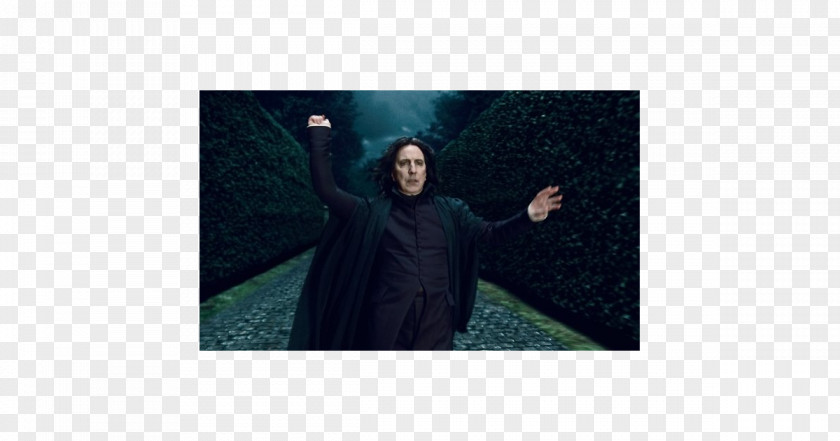 Snape Outerwear Harry Potter Fur PNG