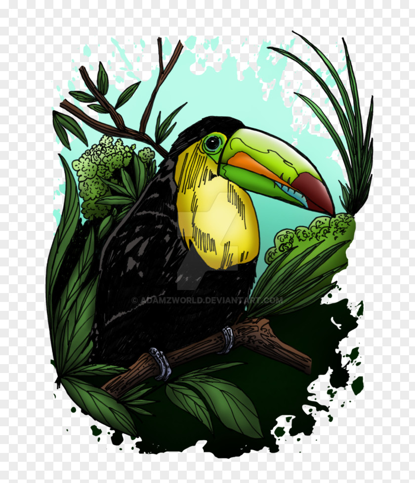 Toucan T-shirt Bird Top Fashion PNG
