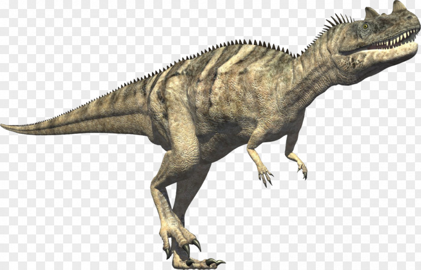 Tyrannosaurus Ceratosaurus Carnivores: Dinosaur Hunter Triceratops PNG