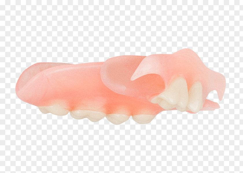 Aspen Dental Pink M Jaw PNG