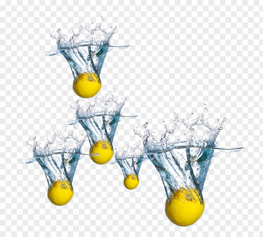 Creative Splash Of Lemon Creativity Designer PNG