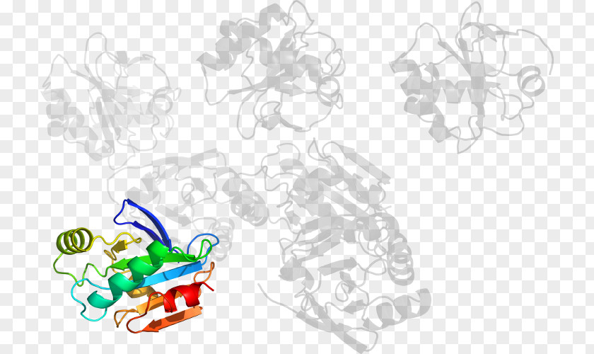 Design Graphic Clip Art PNG