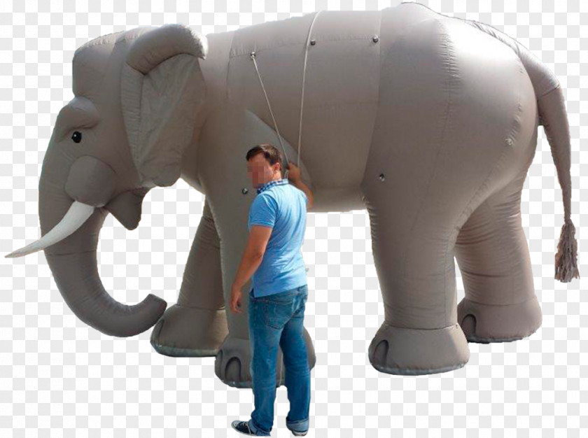 Elephant Indian African Inflatable Giraffe PNG