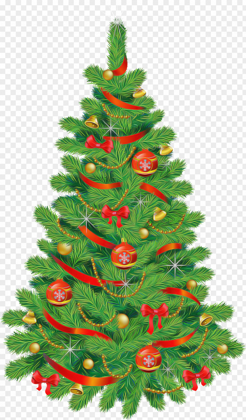 Silvertip Fir Tree Christmas PNG
