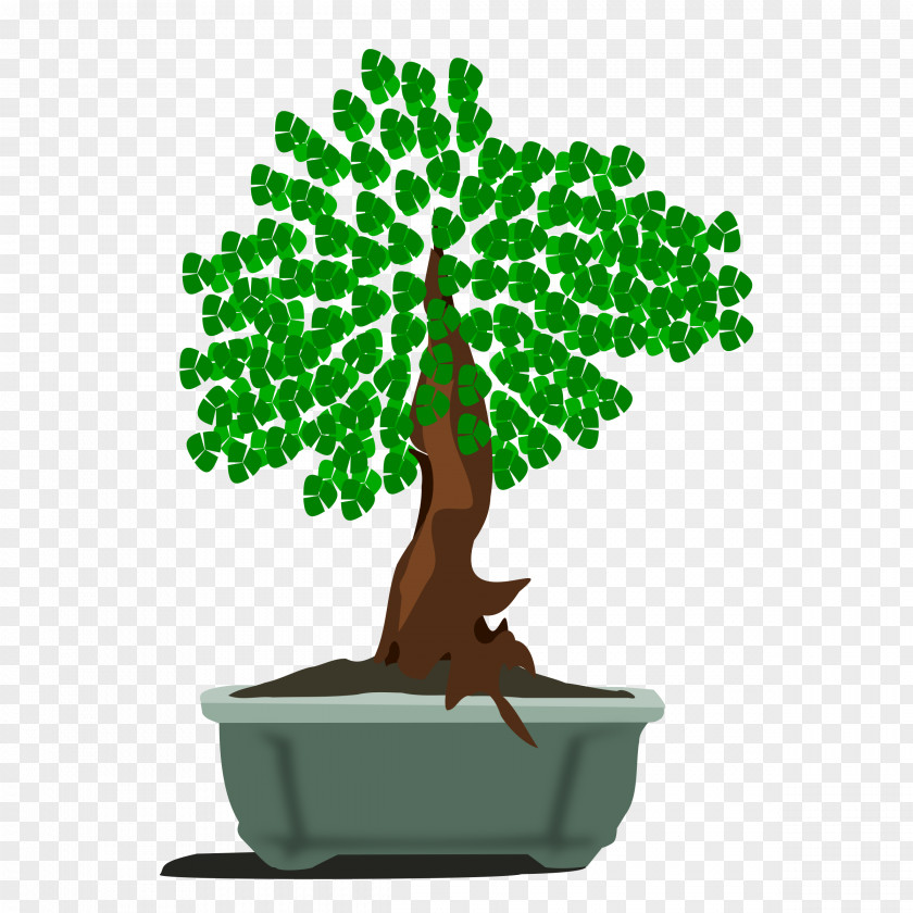 Bonsai Tree Clip Art PNG