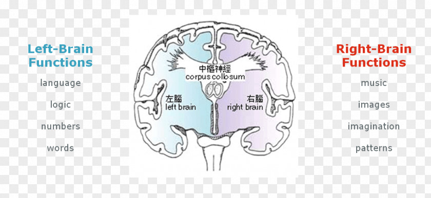 Brain Technology Font PNG