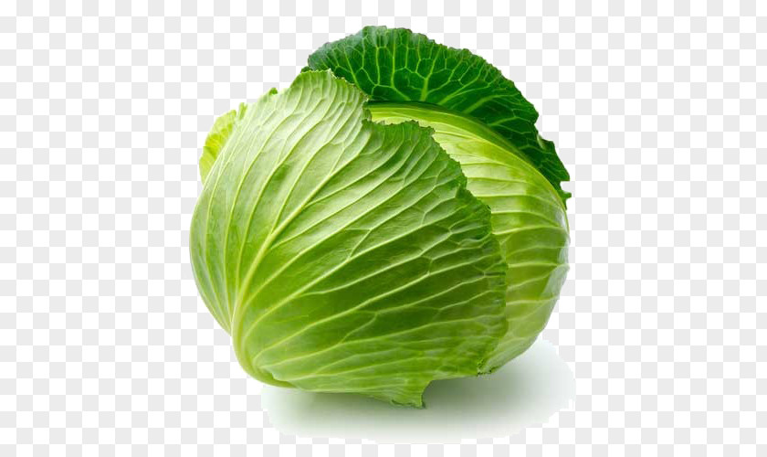 Cabbage Organic Food Savoy Leaf Vegetable PNG