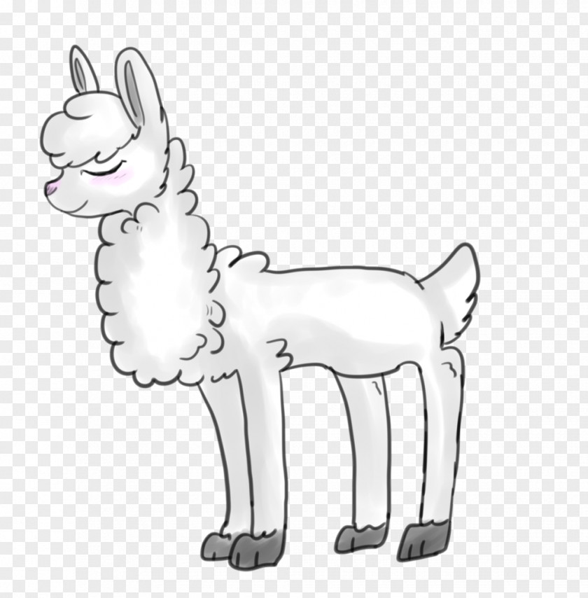 Cat Whiskers Dog Hare Line Art PNG