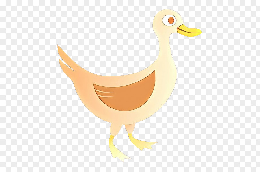 Livestock Waterfowl Bird Duck Goose Beak Water PNG