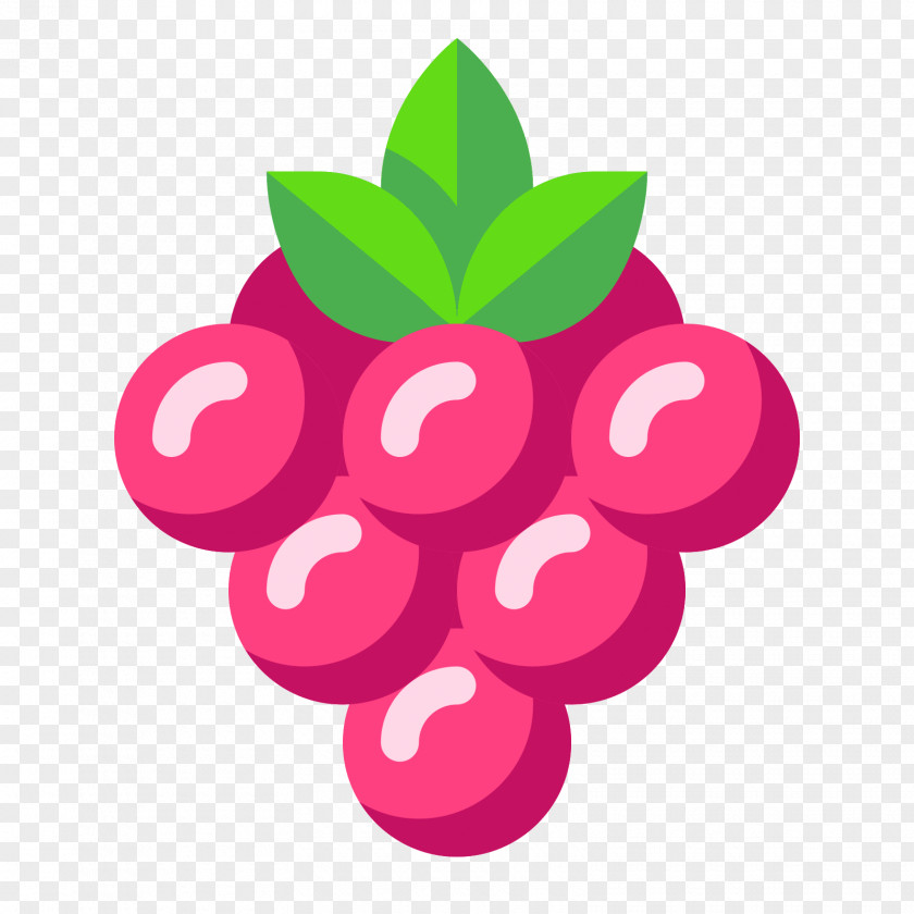 STOBERRY Berry PNG