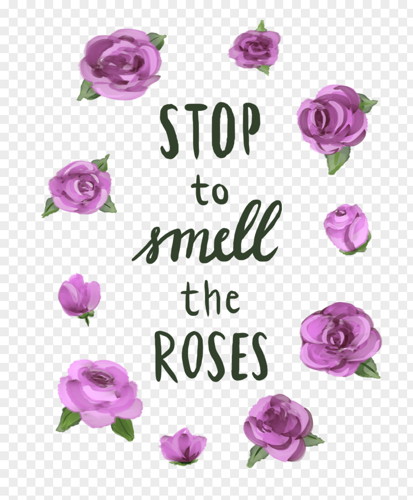 Stop And Smell The Roses Garden Floral Design Cut Flowers Pink M PNG