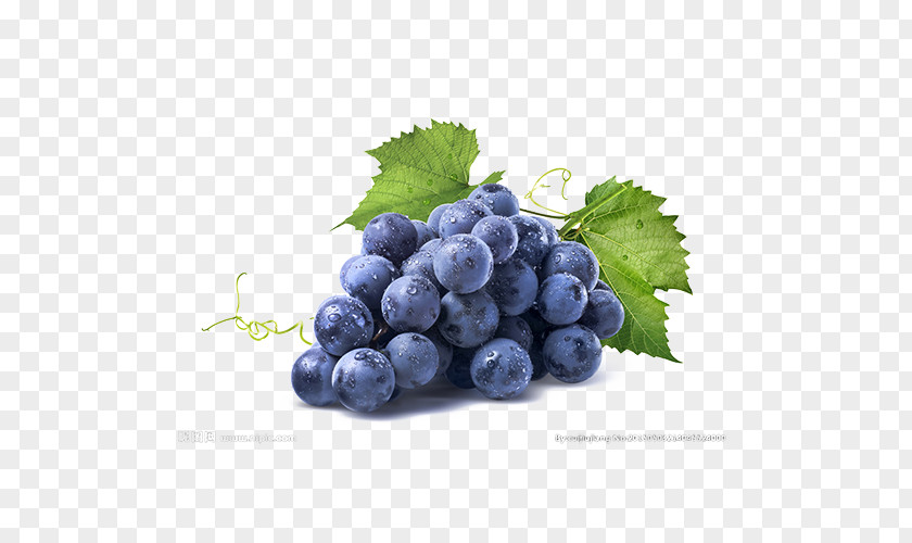 Blue Grapes White Wine Kyoho Albarixf1o Concord Grape PNG